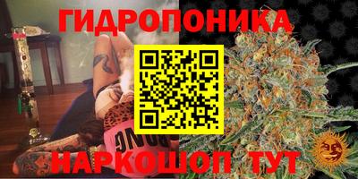 стафф Нарткала