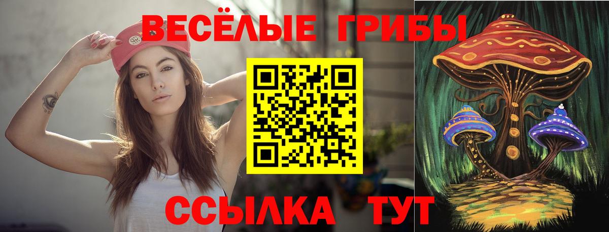 Псилоцибиновые грибы Psilocybine cubensis  Вход с VPN  Электрогорск 